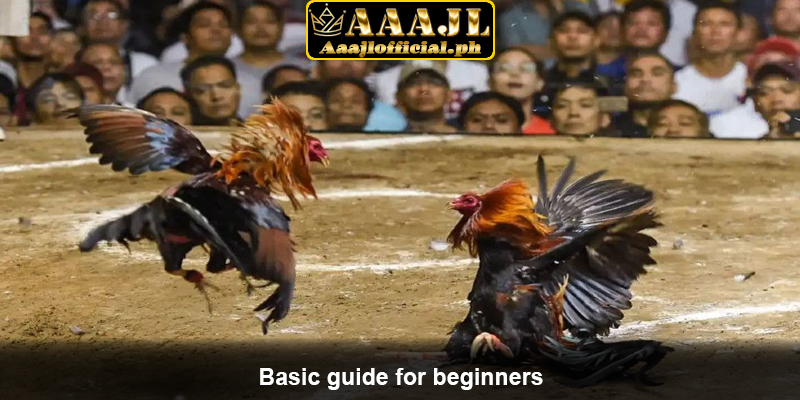Basic guide for beginners