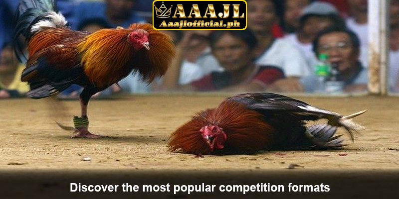 Discover the most popular competition formats